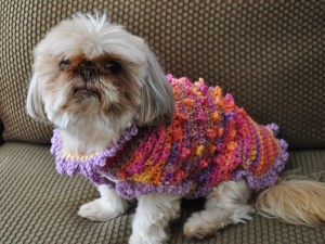 Bella Wearing the Tiny Bobbles and Frills Sweater