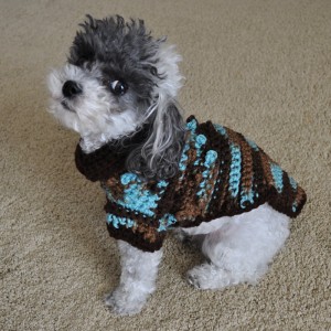 Bentley Tiny Bobbles Sweater