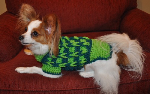 Decorative Loop Crochet Small Dog Sweater on Jasper side view
