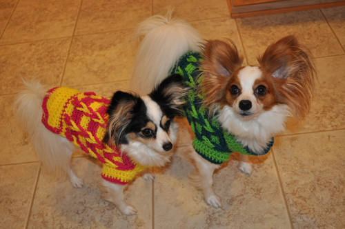 Decorative Loop Crochet Small Dog Sweater for Boys & Girls
