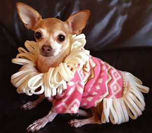 Prudence Wearing the I Love Lucy Fleece Sweater by Stitchwerx Designs