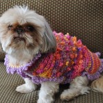 Bella Wearing the Tiny Bobbles and Frills Sweater