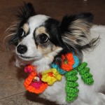 Lily Wearing Crochet Collar with Flowers from Stitchwerx Designs