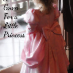 Princess Ariel Gown Back